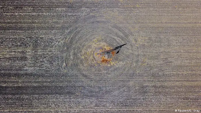 Patterns can be seen in a drought-effected paddock (Reuters/D. Gray)