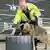 Новая услуга в аэропорту Франкфурта-на-Майне: проверка багажа на клопов