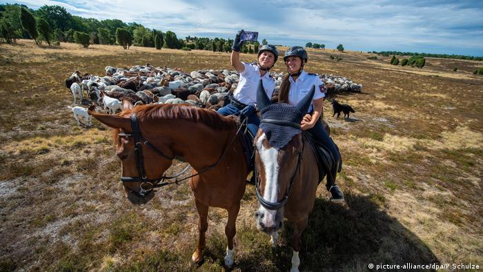 Калуната цъфти през есента и тогава из Люнебургската степ обикалят конни полицаи, които помагат за опазването на природата в разгара на туристическия сезон. От векове насам по тези места се отглеждат овцете от специалната люнебургска порода, които са и много издръжливи.