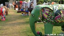 Indien Elefant Festival (DW/M. Ansari)