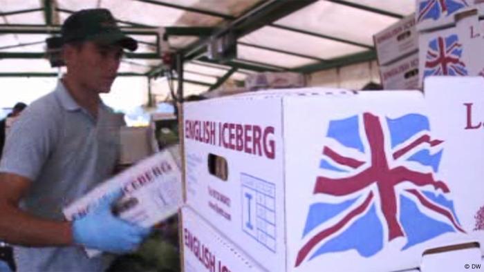 DW Fokus Europa - Brexit für die Bauern