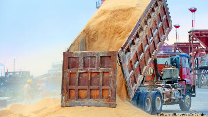 A truck unloads animal feed made from soybeans | Sojabohnen