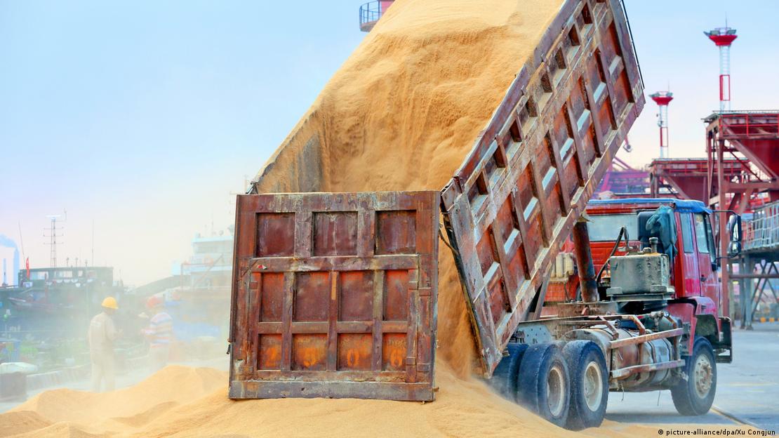Importação de soja na China