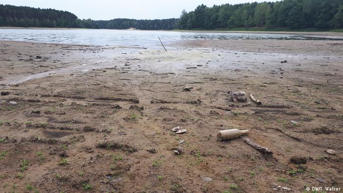 The muddy bed of a lake exposed by receding water levels. Shellfish and an old bottle are now exposed