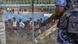 Rohingya refugees at border between Myanmar and Bangladesh Rohingya refugees at border between Myanmar and Bangladesh