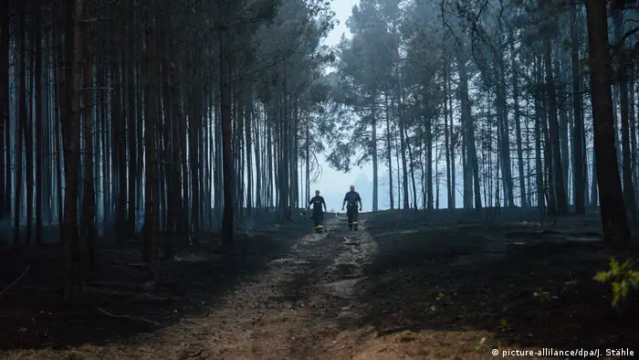 Feuerwehrleute gehen durch einen abgebrannten Wald bei Treuenbrietzen (picture-allilance/dpa/J. Stähle)