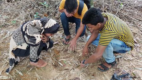 Bangladesch Flüchtlingslager Kutuopalong (DW/A. Marshall)
