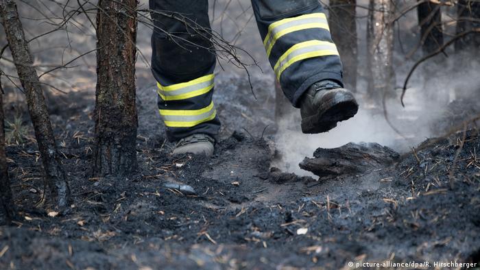 A firefighter after a forest fire in Brandenburg