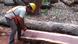 Tropical woods after felling, Mexico Tropical woods after felling, Mexico