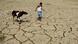 An Indian farmer walks with his cow on a dried paddy field at Srilankabasti village, on the outskirts of Agartala, the capital of northeastern state of Tripura An Indian farmer walks with his cow on a dried paddy field at Srilankabasti village, on the outskirts of Agartala, the capital of northeastern state of Tripura