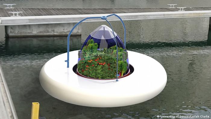 Floating vegetable farm, concept by Leilah Clark (University of Sussex)