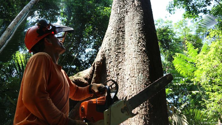 Brazil: Satellite images document Amazon deforestation – DW – 12/08/2018