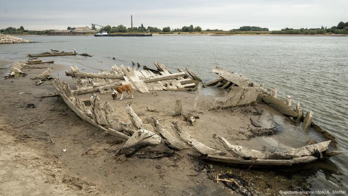 Wrack im Rhein (picture-alliance/dpa/A. Stoffel)