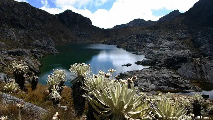 Este es el paisaje del Páramo de Berlín en la Cordillera Oriental. 