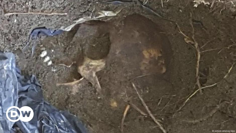 Mexico: 166 skulls found in mass graves – DW – 09/07/2018