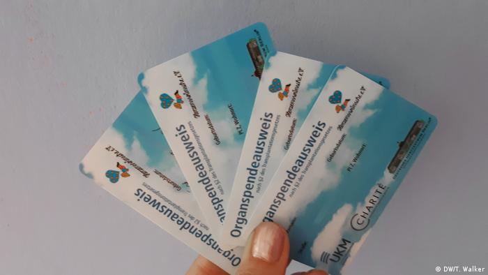 Four Organ Donor cards fanned out