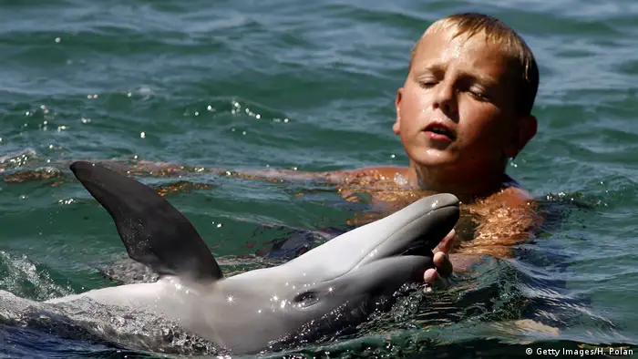 A child plays with a baby dolphin