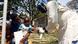 Health Worker helps a child infected with cholera in Harare Health Worker helps a child infected with cholera in Harare