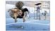 Kartoon | Serena Williams von Mark Knight Kartoon | Serena Williams von Mark Knight