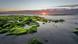 Steine umhüllt von Algen im Wattenmeer. Im Hintergrund geht die Sonne unter. Steine umhüllt von Algen im Wattenmeer. Im Hintergrund geht die Sonne unter.