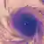 Спутниковый снимок ургана "Мария" в тепловом инфракрасном диапазоне