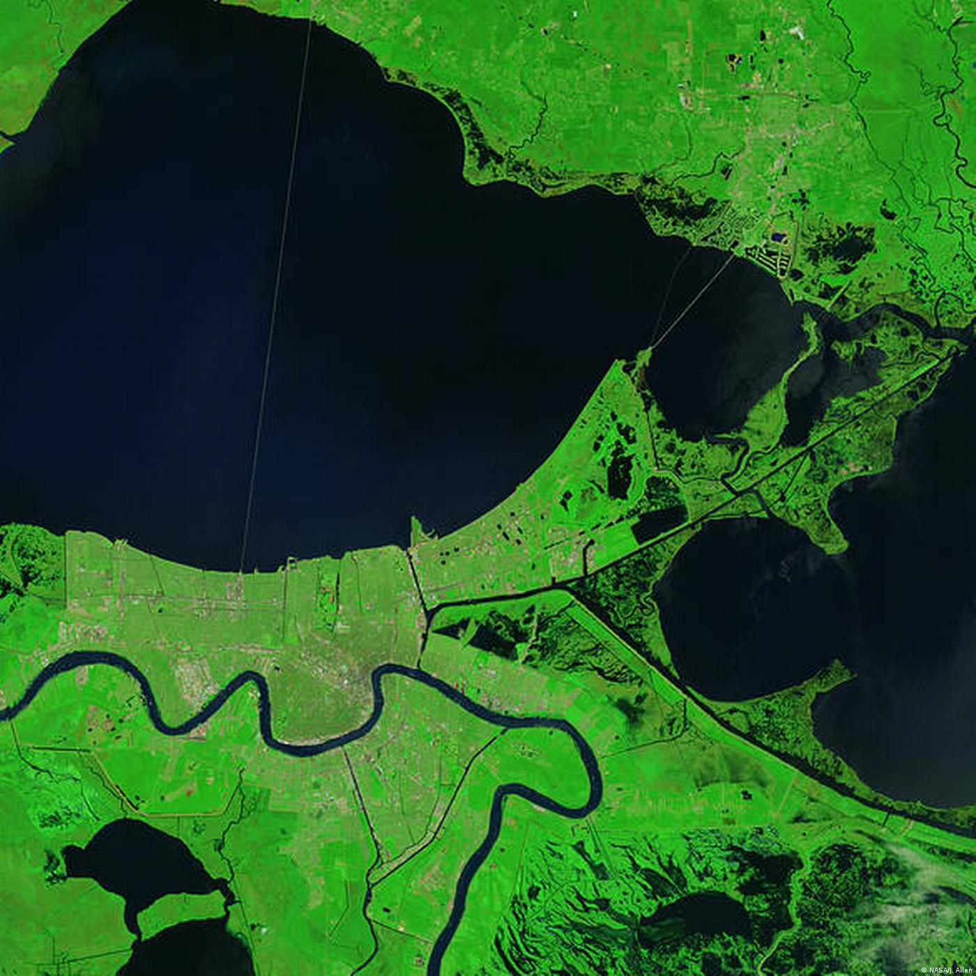 Living Planet: Wild wetlands