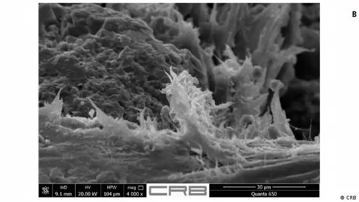 Asbest Chrysotil aus einer Floor-Flex Platte (CRB)