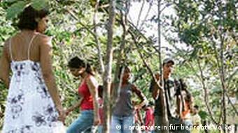 Young people planting trees in the rainforest