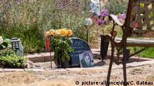 Germany: Pet cemetery wins cat grave court quarrel