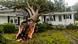 USA Hurrikan Florence in North Carolina USA Hurrikan Florence in North Carolina