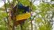 Treehouse belonging to the activist 'Mux' Treehouse belonging to the activist 'Mux'