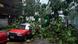 A tree lies on a car A tree lies on a car