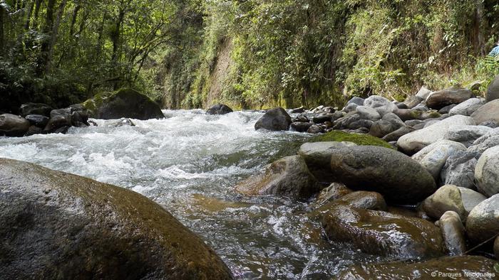 Kolumbien Naturpark (Parques Nacionales)