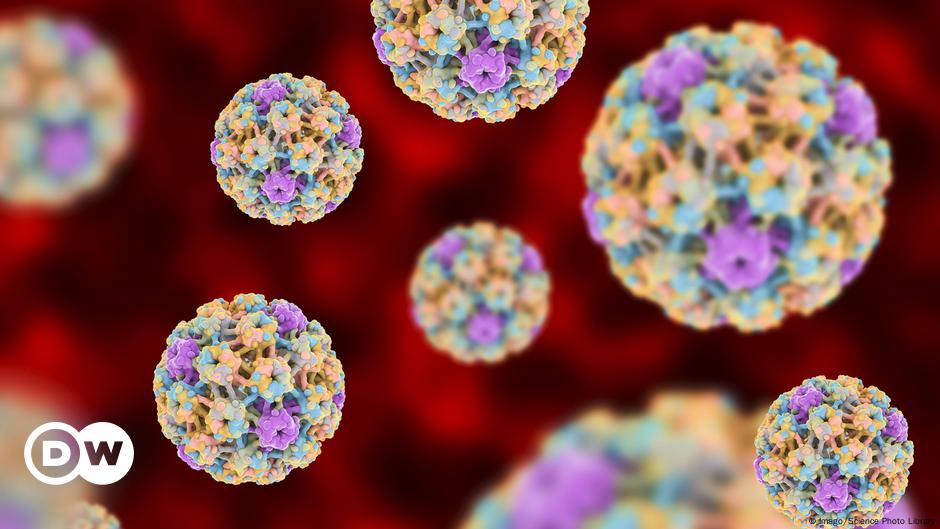 hpv virus and prostate cancer