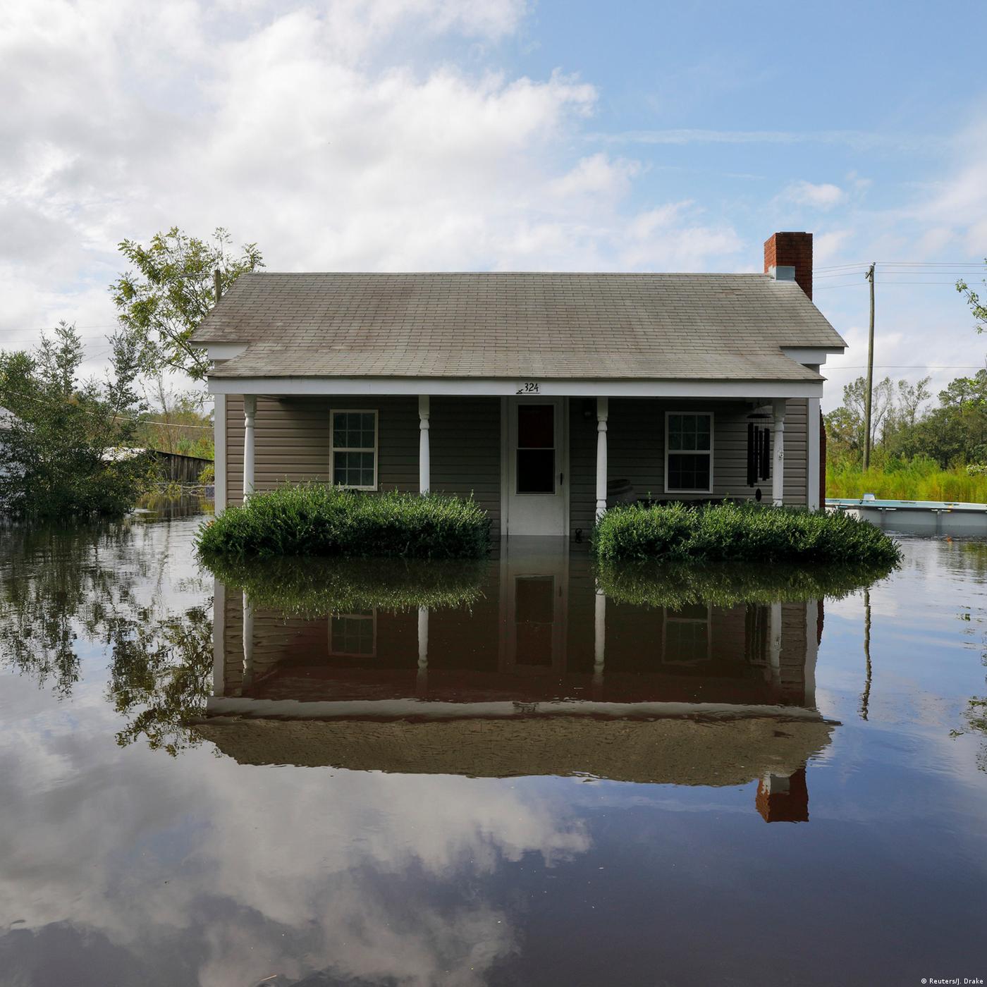 Living Planet: There's something in the water