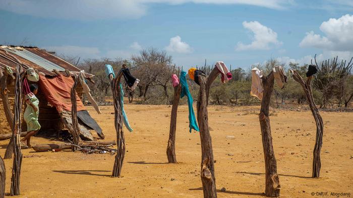 Los wayuu viven en rancherías, territorios apartados de la civilización, sin servicios públicos básicos como alcantarillado o luz eléctrica.