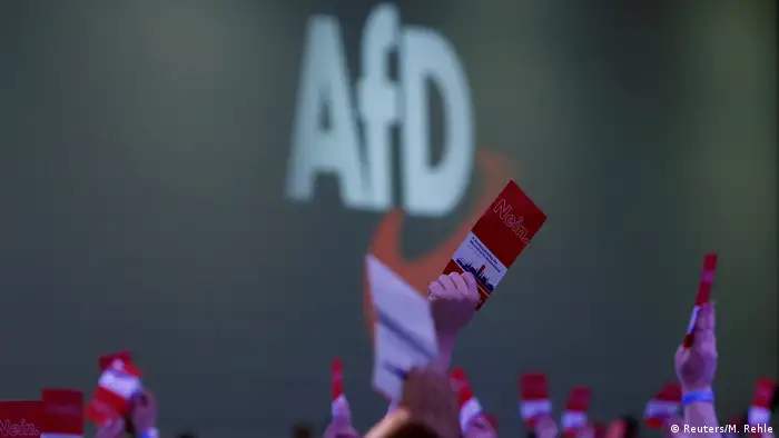 O partido populista de direita Alternativa para a Alemanha (AfD)
