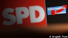 Alemania: ¿por qué un 18% de intención de voto para el partido populista de extrema derecha AfD? 