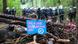 Deutschland Hambacher Forst Deutschland Hambacher Forst