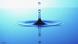 Symbolbild Wasser Wassertropfen p178 Flash-Galerie Symbolbild Wasser Wassertropfen p178 Flash-Galerie