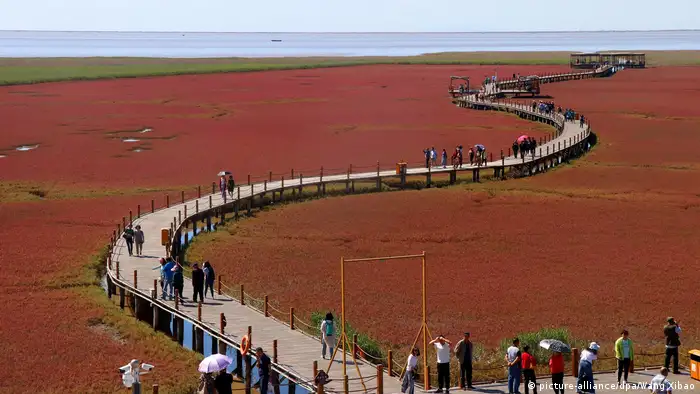China Red Beach in Panjin