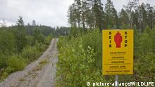 Фінляндія збудує міцний паркан на кордоні з Росією