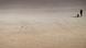 A person walking on the beach A person walking on the beach
