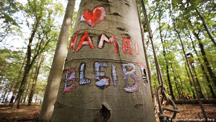 Tree marked Hambi stays