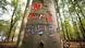 Tree marked "Hambi stays" Tree marked "Hambi stays"