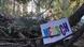 Protestas contra la tala del bosque de Hambach, Alemania Protestas contra la tala del bosque de Hambach, Alemania