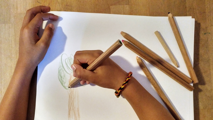 DW Global Ideas Lernpaket #2 Wald 10 (Buntstifte und Papier)