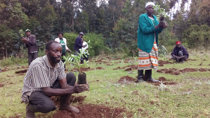 DW Global Ideas Lernpaket #2 Wald 16 (Baumpflanzung, Kenia)