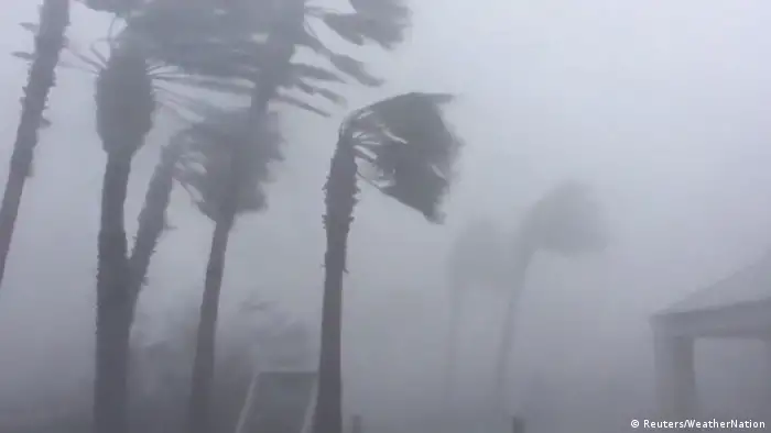 Palmen beugen sich unter starken Windböen (Foto: Reuters/WeatherNation)