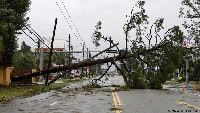 Ein Baum liegt über eine Straße und in einer Stromleitung (Foto: Reuters/J. Bachman)